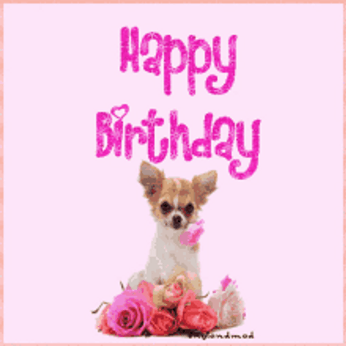 Happy Birthday Puppy Pink Theme With Roses GIF
