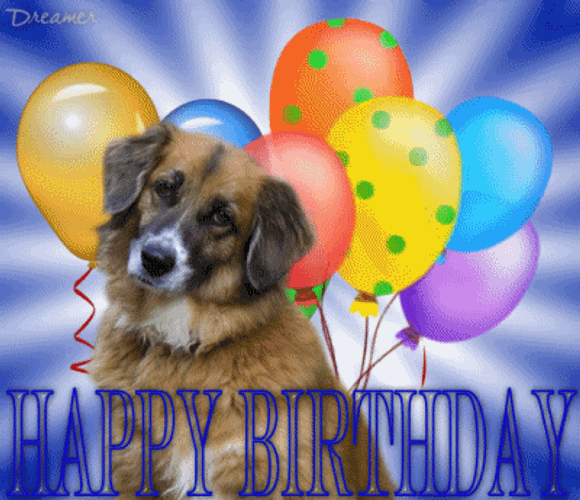 Happy Birthday Puppy With Colorful Balloons GIF