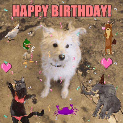 Happy Birthday Puppy With Confetti And Animals Design GIF