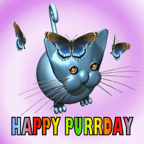 Happy Birthday Purrday Cat GIF