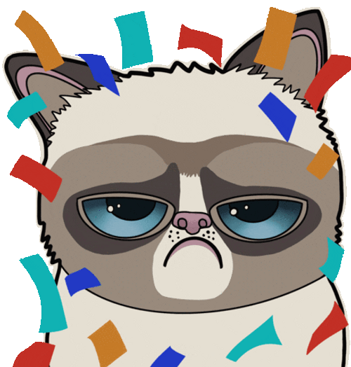Happy Birthday Sad Cat GIF