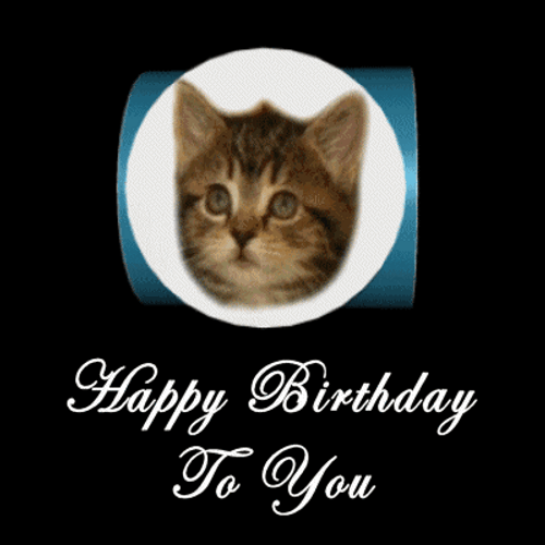 Happy Birthday Singing Cats GIF