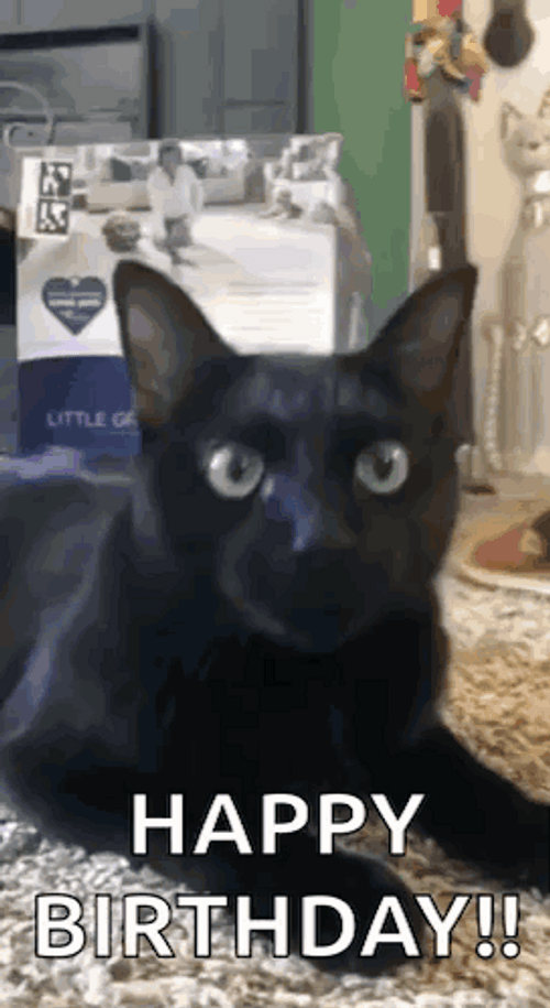 Happy Birthday Sister Funny Meme Angry Black Cat GIF