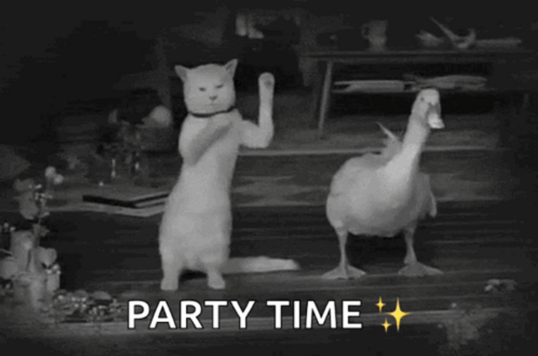 Happy Birthday Sister Funny Meme Cat Duck Dancing GIF