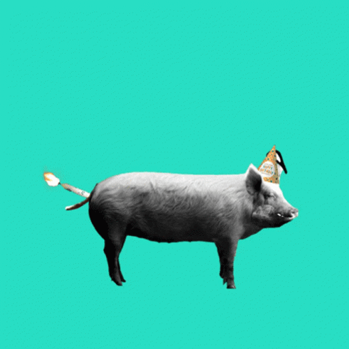Happy Birthday Sister Funny Meme Grinning Pig GIF