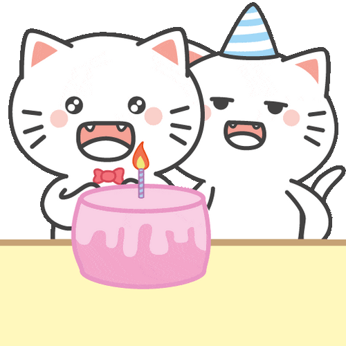 Happy Birthday Sister In Law Funny Naughty Cats Meme GIF