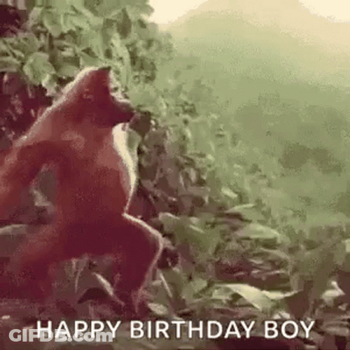 Happy Birthday Son Monkey Dancing GIF