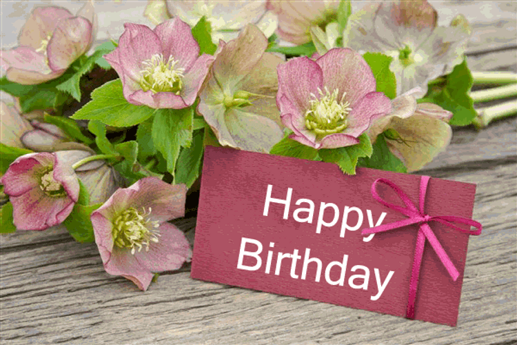 Happy Birthday Thank You Flowers GIF