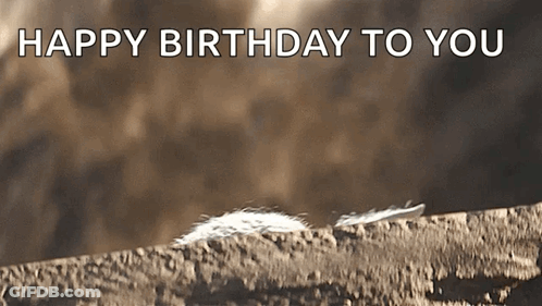 Happy Birthday To You Message With Feather GIF