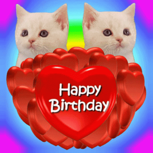 Happy Birthday Twins Cat & Heart GIF