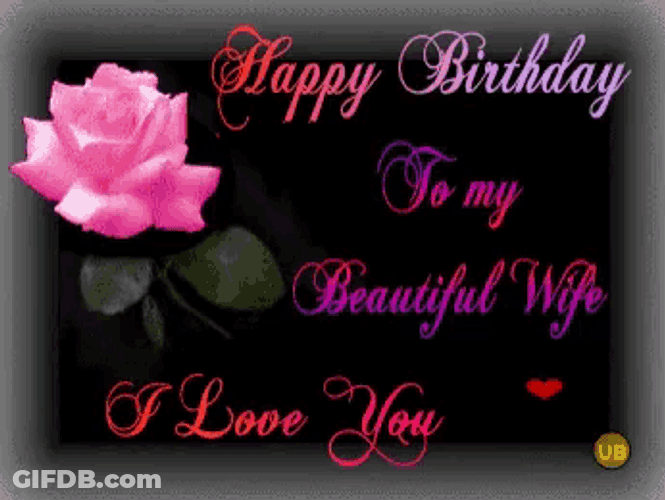 Happy Birthday Wife Ily GIF