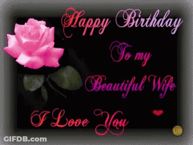 Happy Birthday Wife Ily GIF