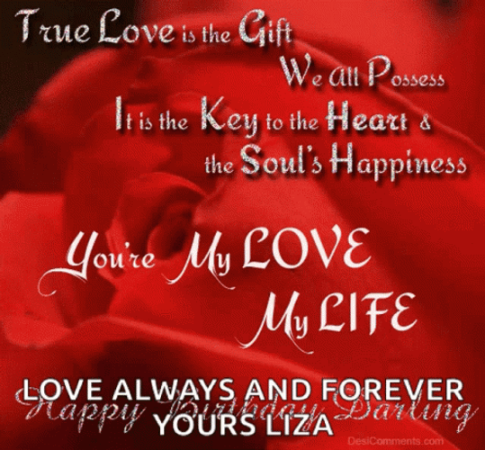 Happy Birthday Wife Liza GIF