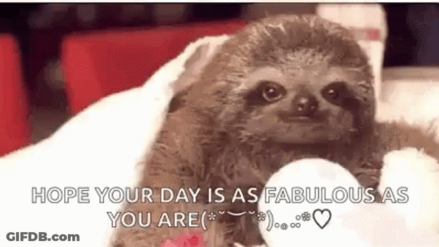 Happy Birthday Wish Animal Sloth Baby Flower GIF