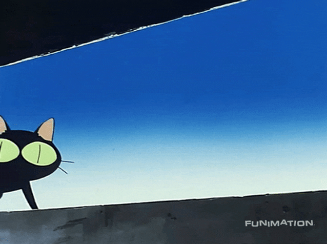 Happy Black Cat GIF