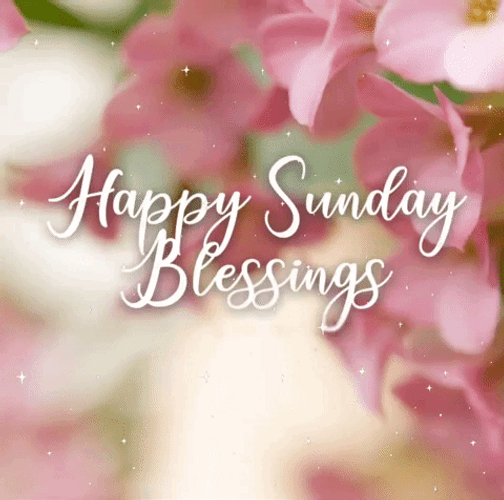 Happy Blessed Pink Orchids GIF