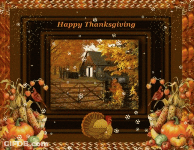 Happy Blessed Thanksgiving Message GIF