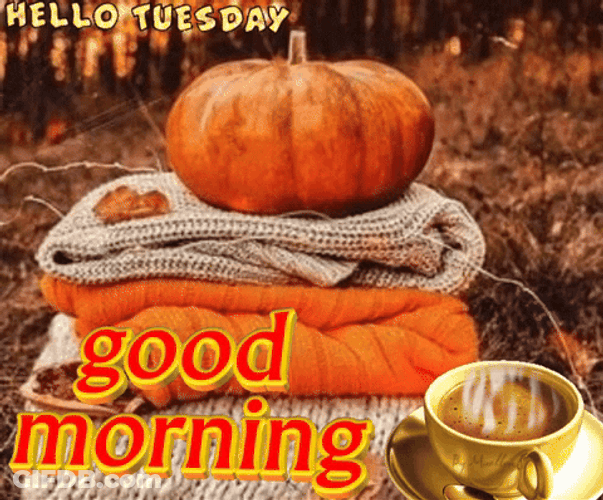 Happy Blessed Tuesday Autumn Pumpkin GIF
