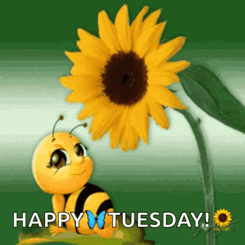 Happy Blessed Tuesday Bee Kissing Sunflower GIF
