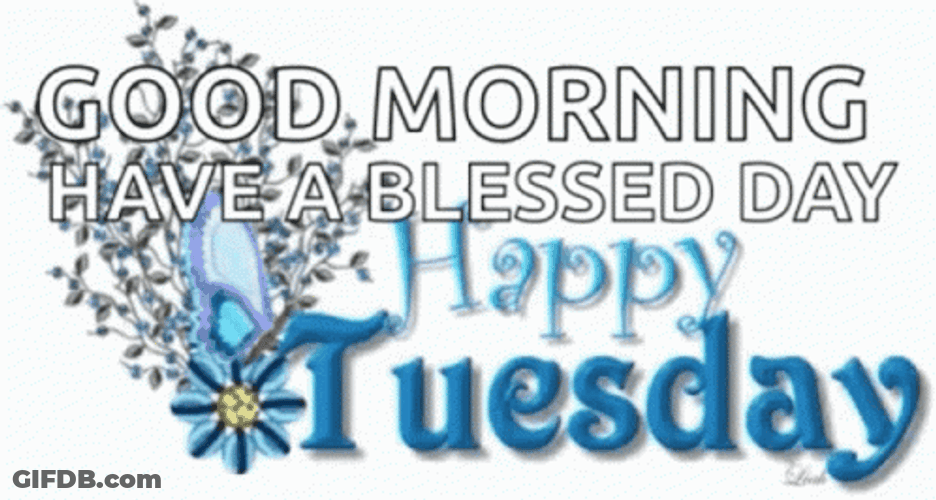Happy Blessed Tuesday Blue Butterfly GIF