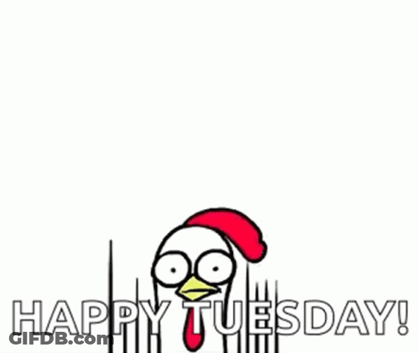 Happy Blessed Tuesday Google Eyed Chickens GIF
