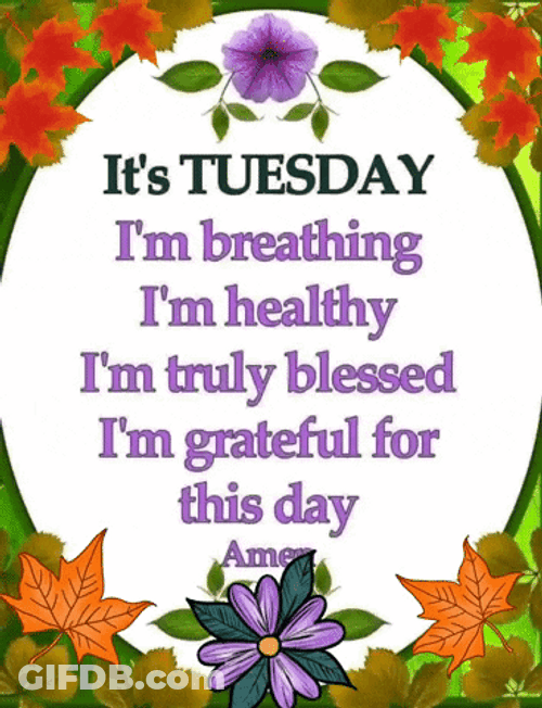 Happy Blessed Tuesday Im Healthy GIF