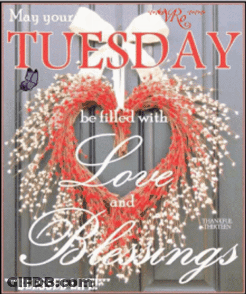 Happy Blessed Tuesday Love GIF