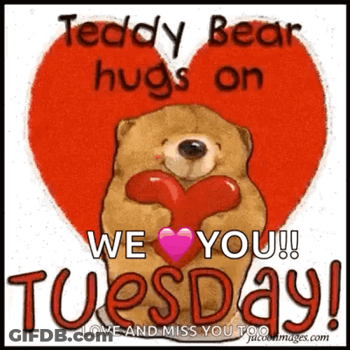 Happy Blessed Tuesday Teddy Bear Hugs GIF