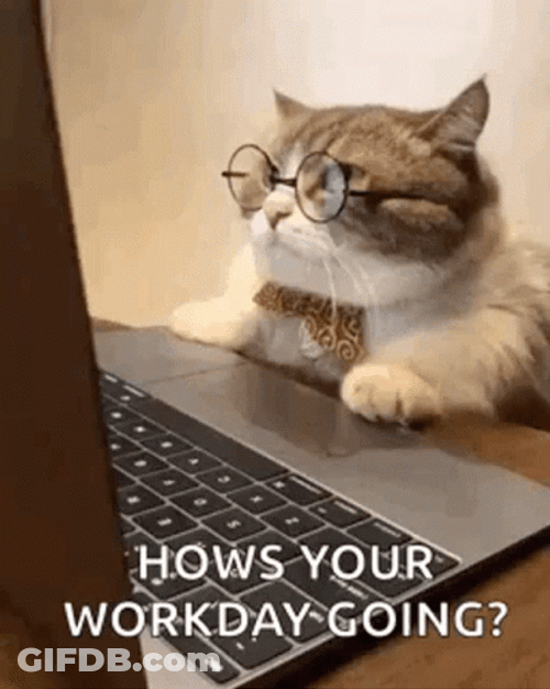 Happy Boss Day How's Your Workday Going GIF
