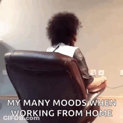 Happy Boss Day Work From Home Moods GIF