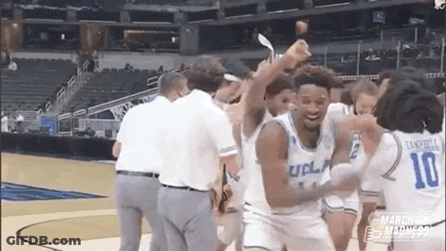 Happy Bruins Celebrate GIF
