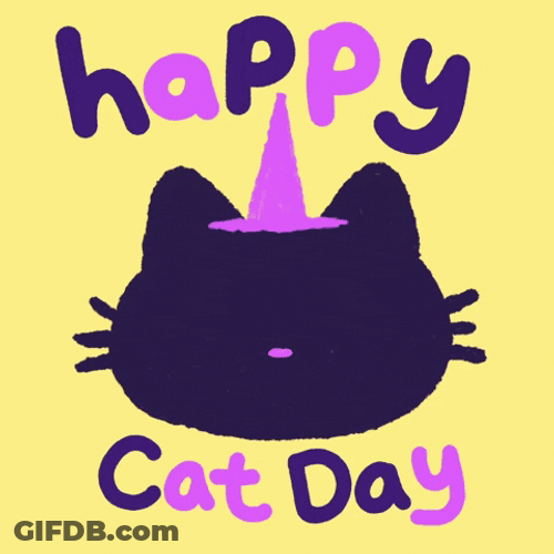 Happy Cat Day Everyone Meme GIF