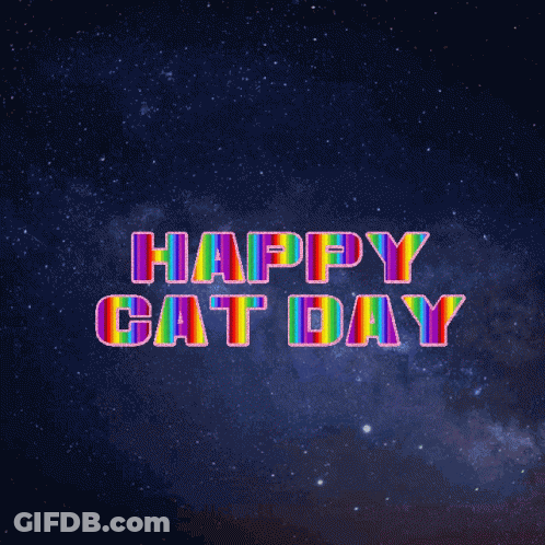 Happy Cat Day Rainbow Letters Starry Sky GIF