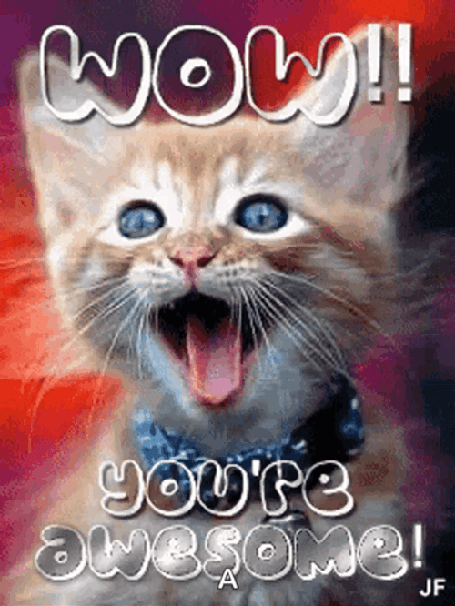 Happy Cat Friday Meme GIF