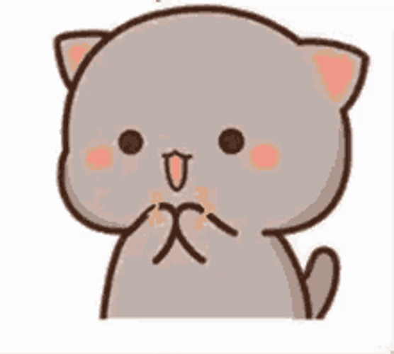 Happy Cat Goma Excited Clapping Thumbs Up GIF