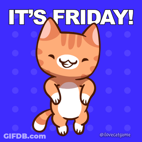 Happy Cat Its Friday GIF