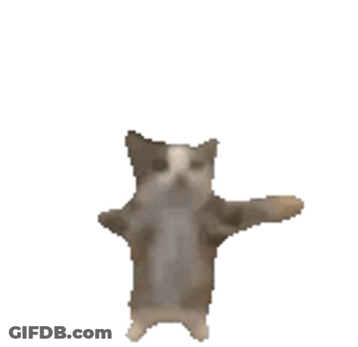 Happy Cat Jumping Breakdancing GIF