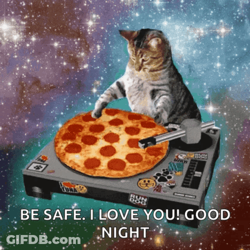 Happy Cat Making Pizza Meme GIF
