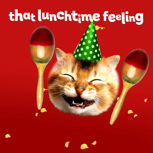Happy Cat The Lunch Time Feeling GIF