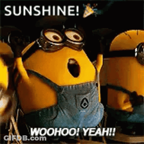 Happy Cheering Minions Hello Sunshine GIF