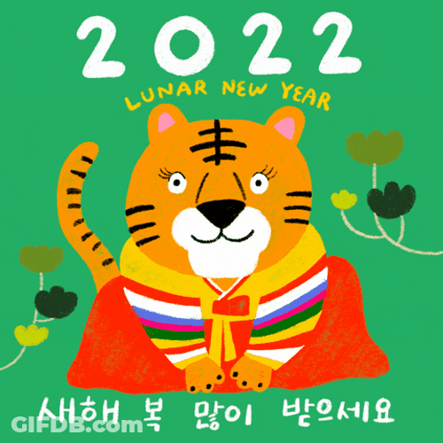 Happy Chinese New Year Outfit GIF