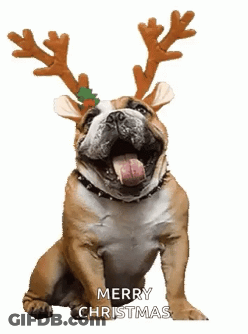 Happy Christmas Dog Deer Headband GIF