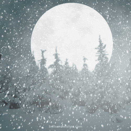 Happy Christmas Eve Airborne Santa Sleigh GIF