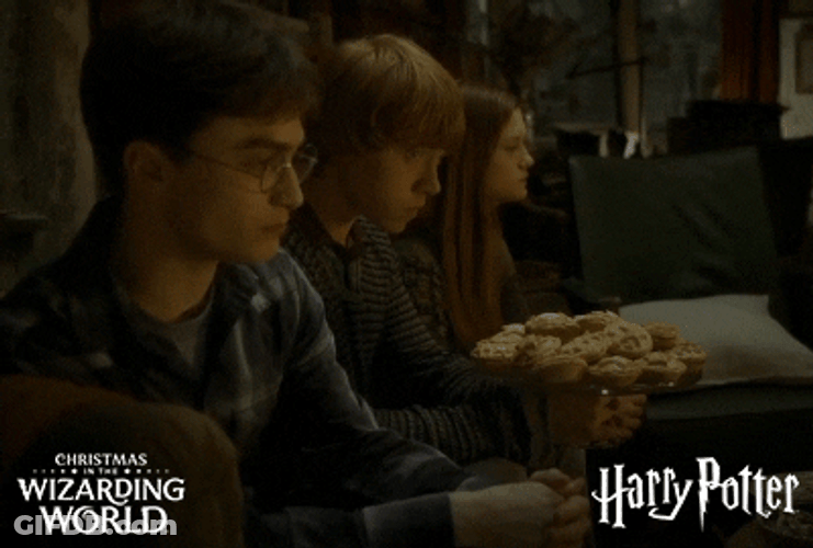 Happy Christmas Harry Ron Hermione Adults Pie GIF