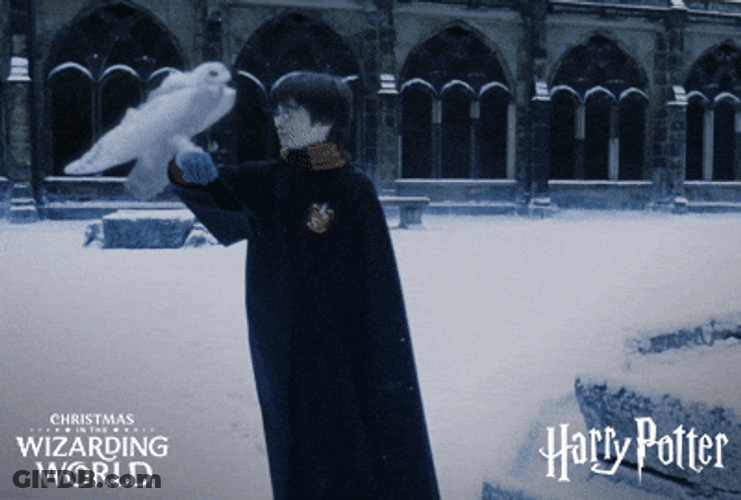 Happy Christmas Harry White Eagle GIF