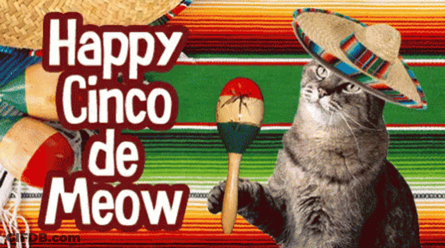 Happy Cinco De Mayo Meow GIF