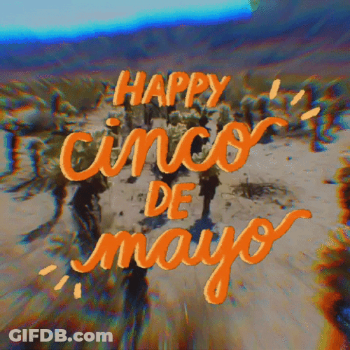 Happy Cinco De Mayo Retro Cactus GIF