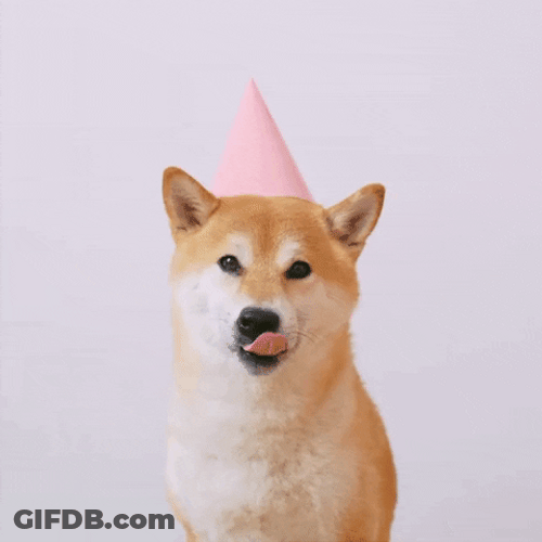 Happy Corgi Dog Birthday GIF