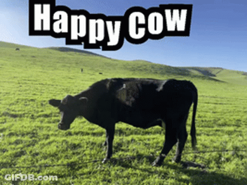 Happy Cow In Grassy Field GIF