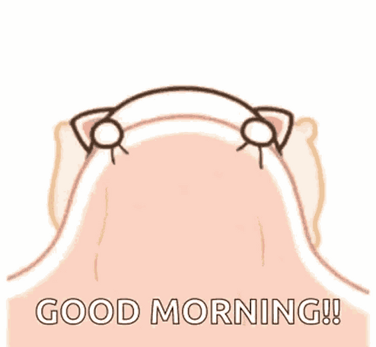 Happy Cute Good Morning Cat GIF